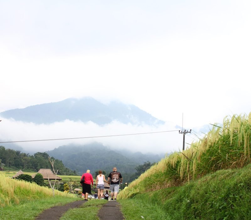 IMG_jatiluwih604