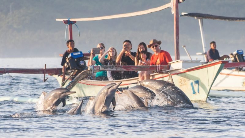 Bali,,Indonesia,,April,2016:,Holiday,In,Bali,-,Dolphin,Beach