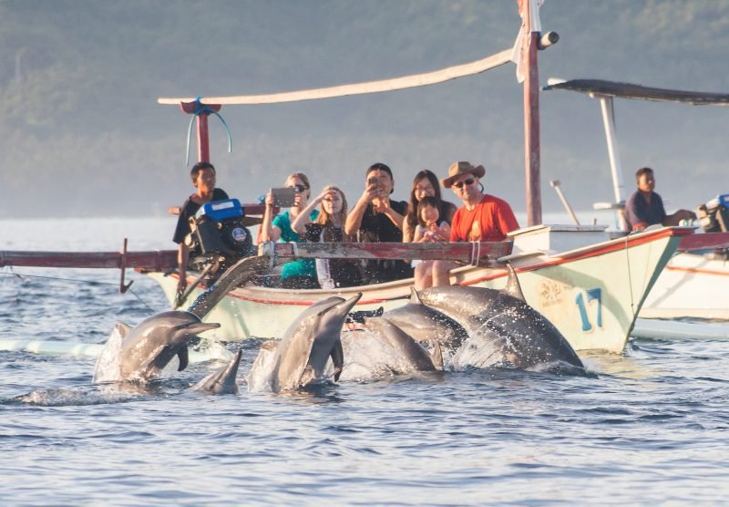 Bali,,Indonesia,,April,2016:,Holiday,In,Bali,-,Dolphin,Beach
