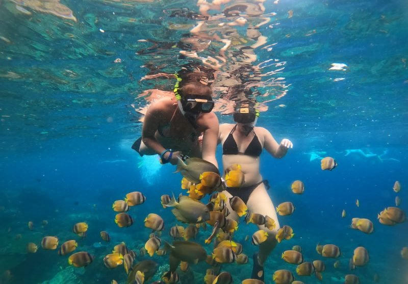 PHOTO-2022-10-06-20-59-41 3