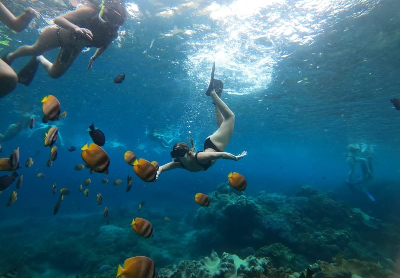 PHOTO-2022-10-06-20-59-41