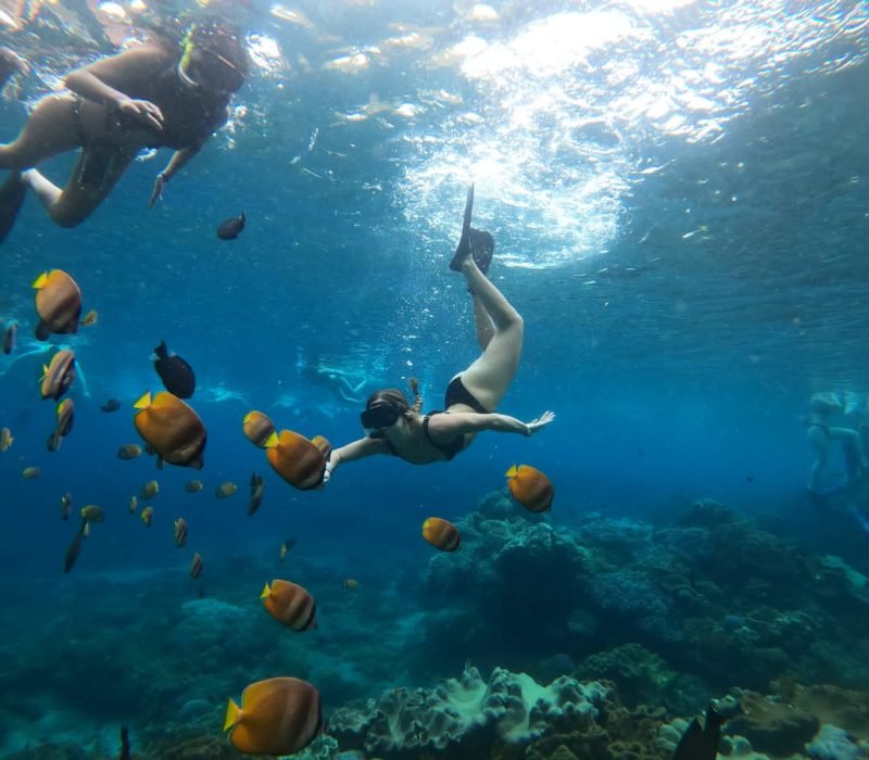 PHOTO-2022-10-06-20-59-41