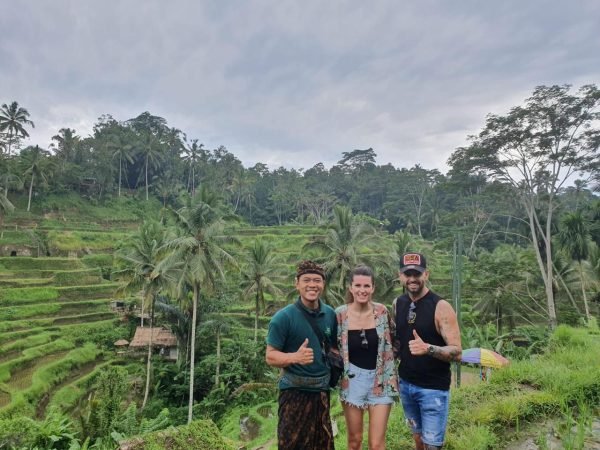 Tegalalang rice terraces