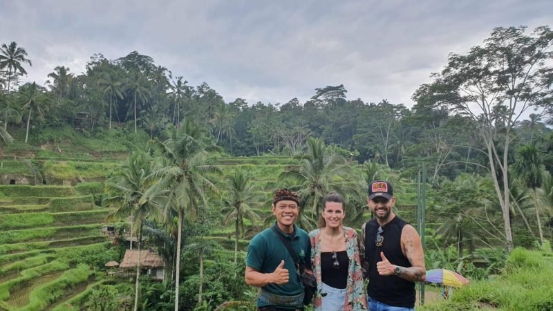Tegalalang rice terraces