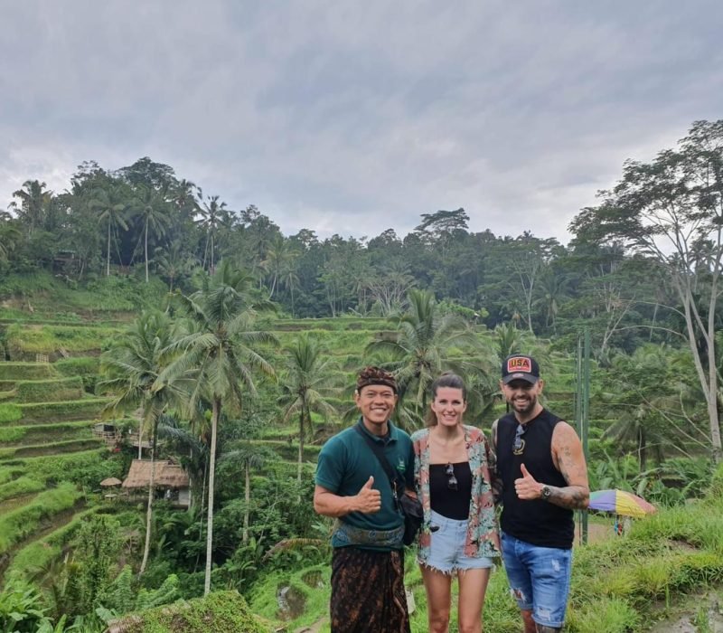 Tegalalang rice terraces