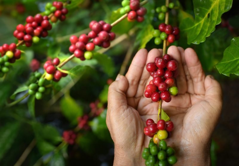 coffee 2