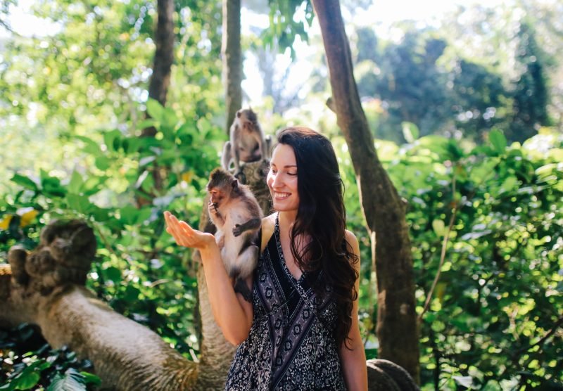Young woman playing with macaque monkeys near the famous Monkey Forest in Ubud, a small town in Bali, Indonesia. It's a popular natural habitat or a sanctuary with many Hindu temples as well.