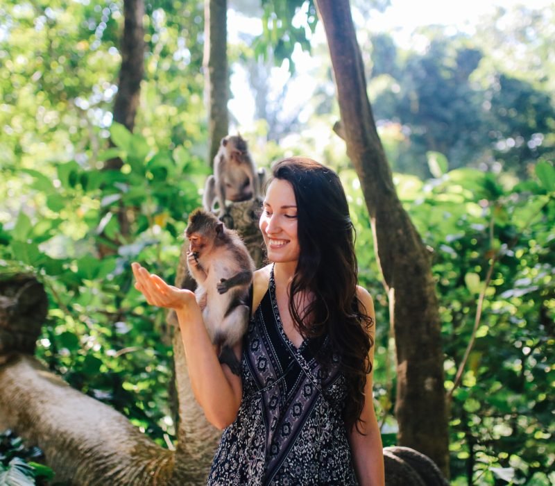 Young woman playing with macaque monkeys near the famous Monkey Forest in Ubud, a small town in Bali, Indonesia. It's a popular natural habitat or a sanctuary with many Hindu temples as well.